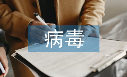 計算機網絡安全與病毒防范