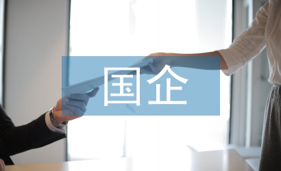 國企審計(jì)重點(diǎn)